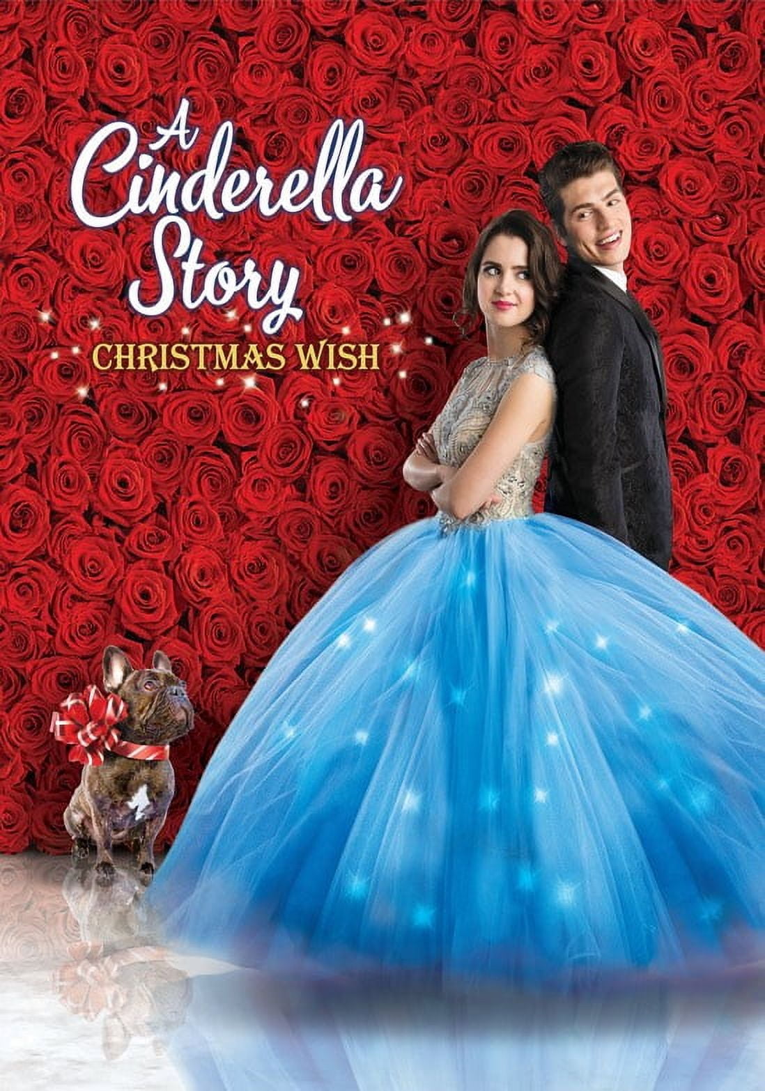 WARNER BROS. Cinderella Story, A: Christmas Wish [DVD]