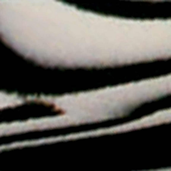 Cinelli Cork Handlebar Tape, Zebra - White/Black