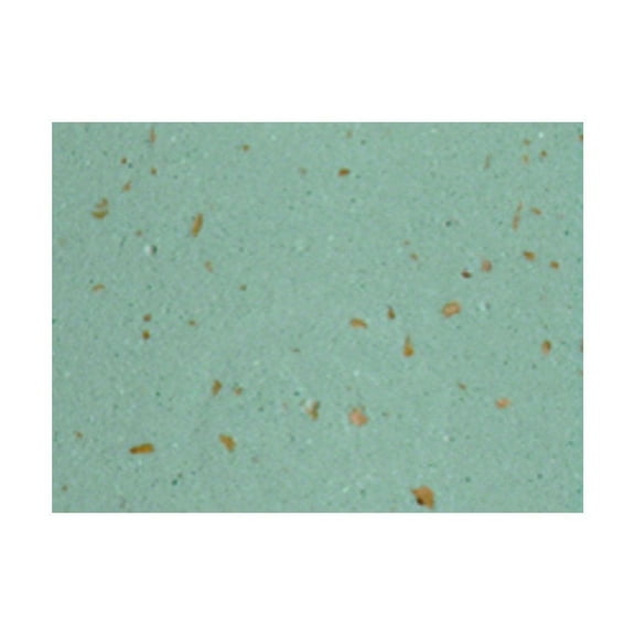 Cinelli Handlebar Tape, Cork, Bianchi Celeste Green