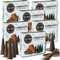 thumbnail image 1 of Cinnamon Incense Cones - Total 60 Cone Incense - Six Packs of 10 Insence Cones - Incense Cones Scented - Cone Incense Scents - Insense Cones - Inscent Cones, 1 of 8