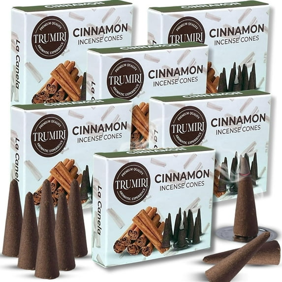 Cinnamon Incense Cones - Total 60 Cone Incense - Six Packs of 10 Insence Cones - Incense Cones Scented - Cone Incense Scents - Insense Cones - Inscent Cones