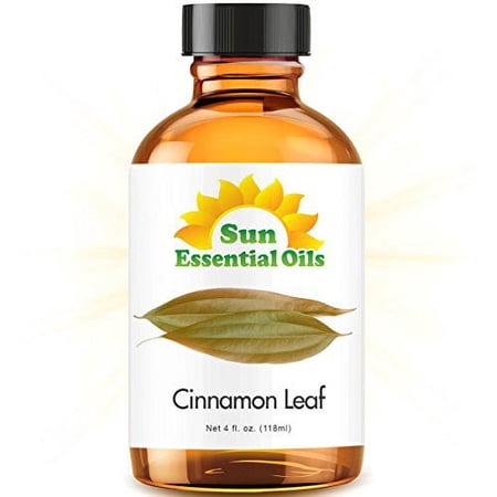 Cinnamon Leaf (Large 4oz) Best Essential Oil