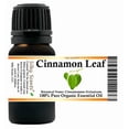 thumbnail image 1 of Cinnamon Leaf Organic Essential Oil 10 ml (1/3 fl oz) - 100% Pure and Natural by Silky Scents, 1 of 5