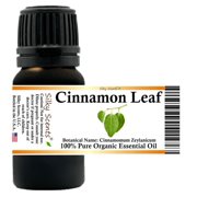 Cinnamon Leaf Organic Essential Oil