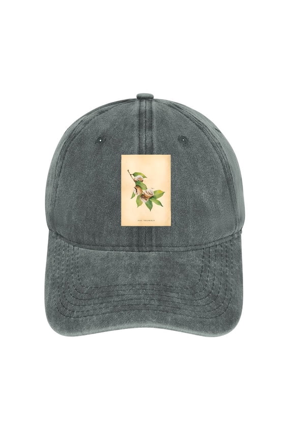 Cinnamon Roll Gray Baseball Cap for Men Women, Adjustable Snapback Hats Cotton Hat