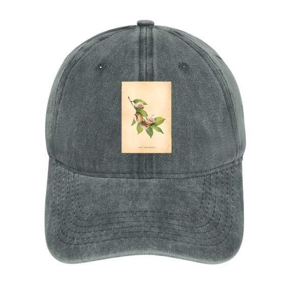 Cinnamon Roll Gray Baseball Cap for Men Women, Adjustable Snapback Hats Cotton Hat
