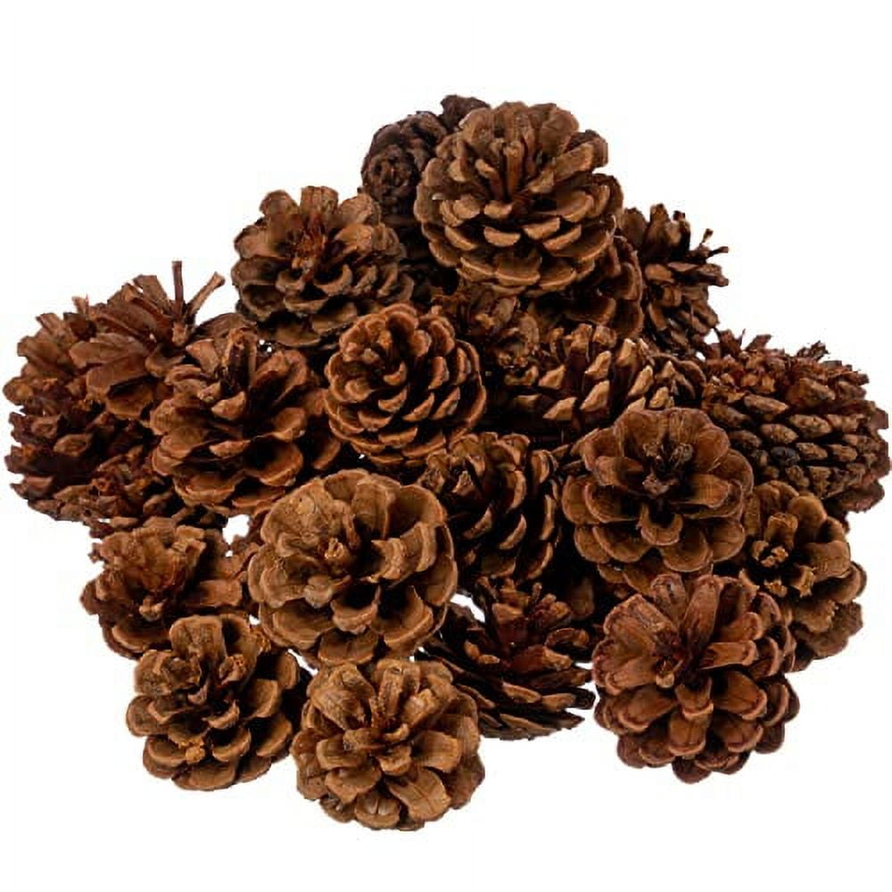 Cinnamon Scented Pinecones 1 lb for Decorating - 40 Pack Small