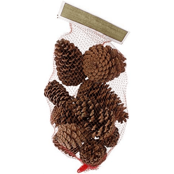 Cinnamon Scented Pinecones 12-14/Pkg, Large$$Home Decor, Kitchen, & Other