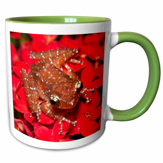 3drose, Cinnamon Tree Frog, Borneo - Na02 Aje0405 - Adam Jones, 11oz Two-tone Green Mug