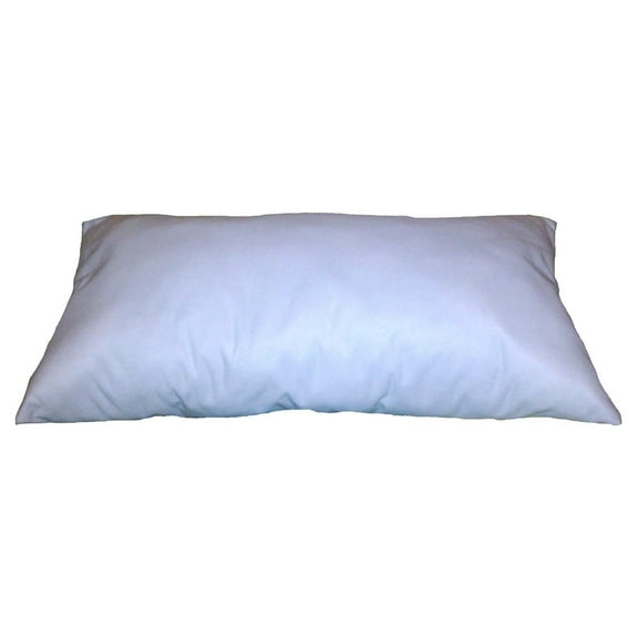 CintBllTer 22x38 Inch Rectangular Throw Pillow Insert Form