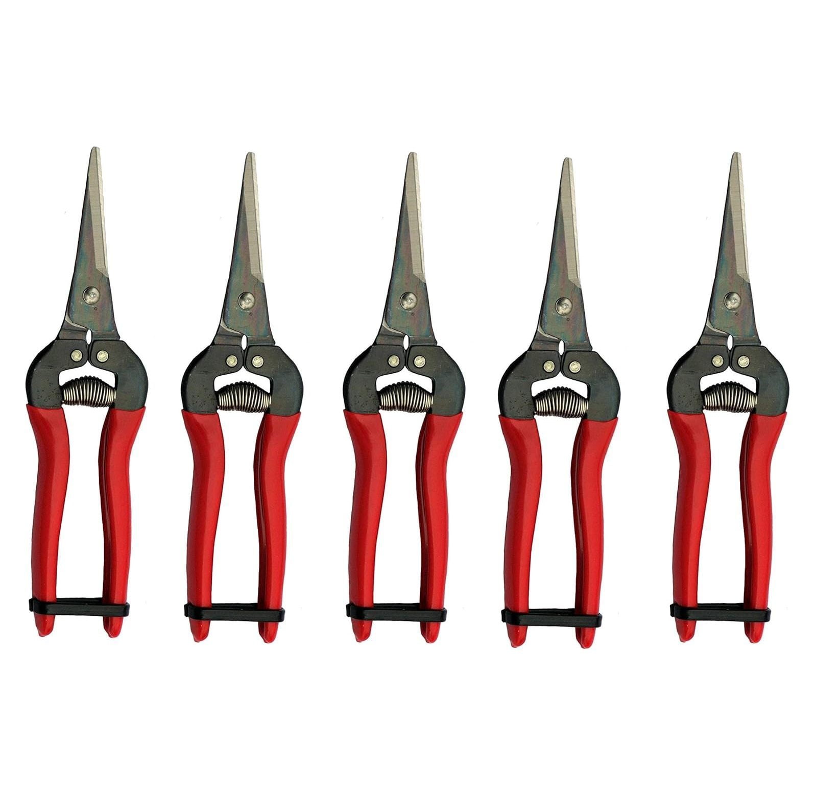 CintBllTer 300L Needle Nose Fruit Pruners (5 Pack)