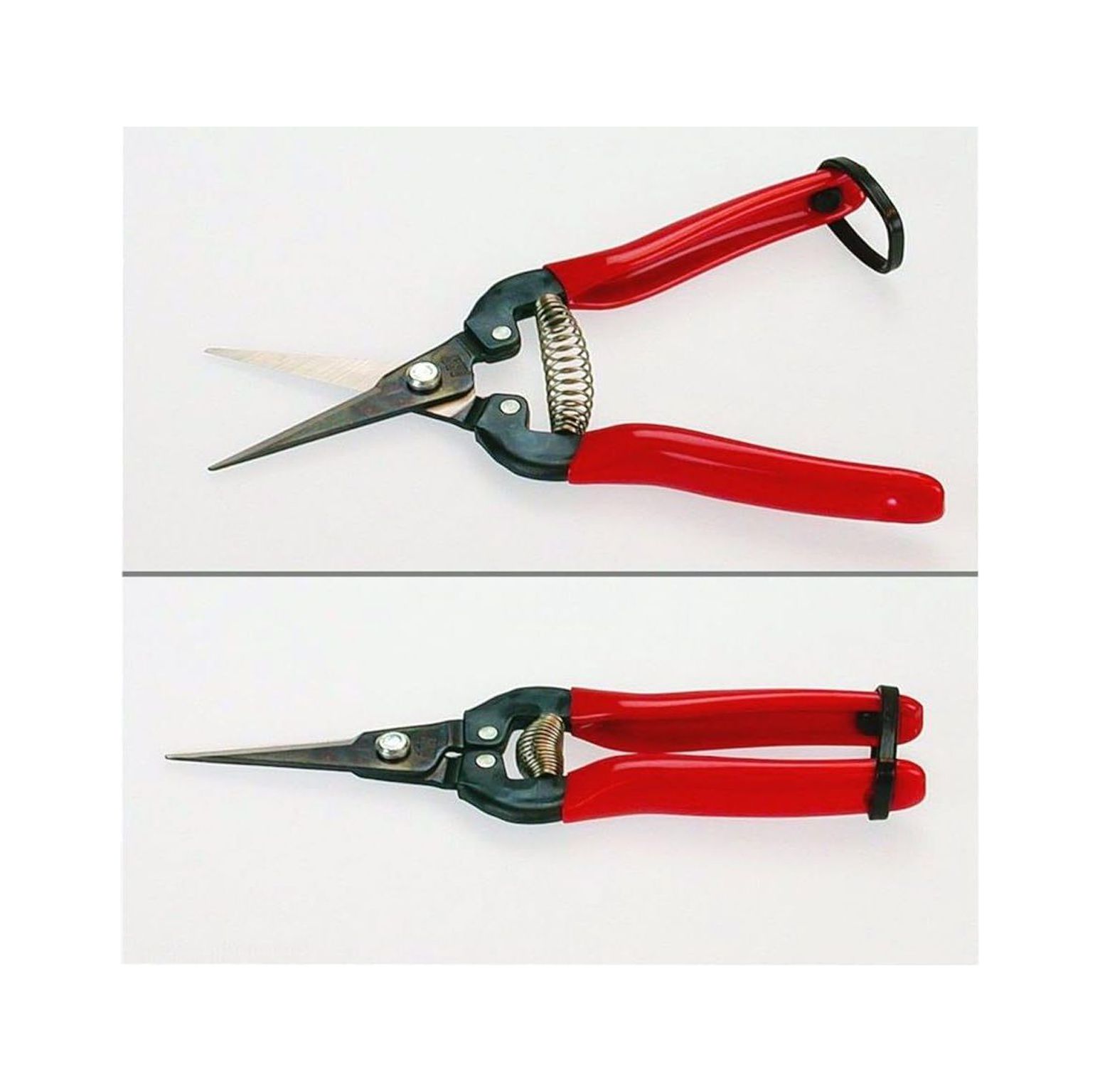 CintBllTer 300L Needle Nose Fruit Pruners