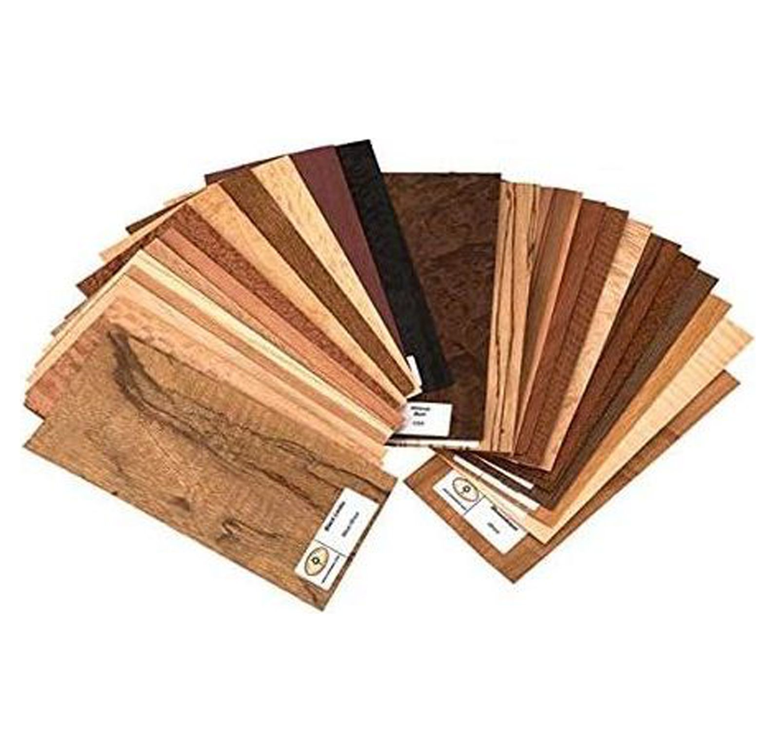 CintBllTer Exotic Species Wood Identification Kit & Wood Veneer Sample