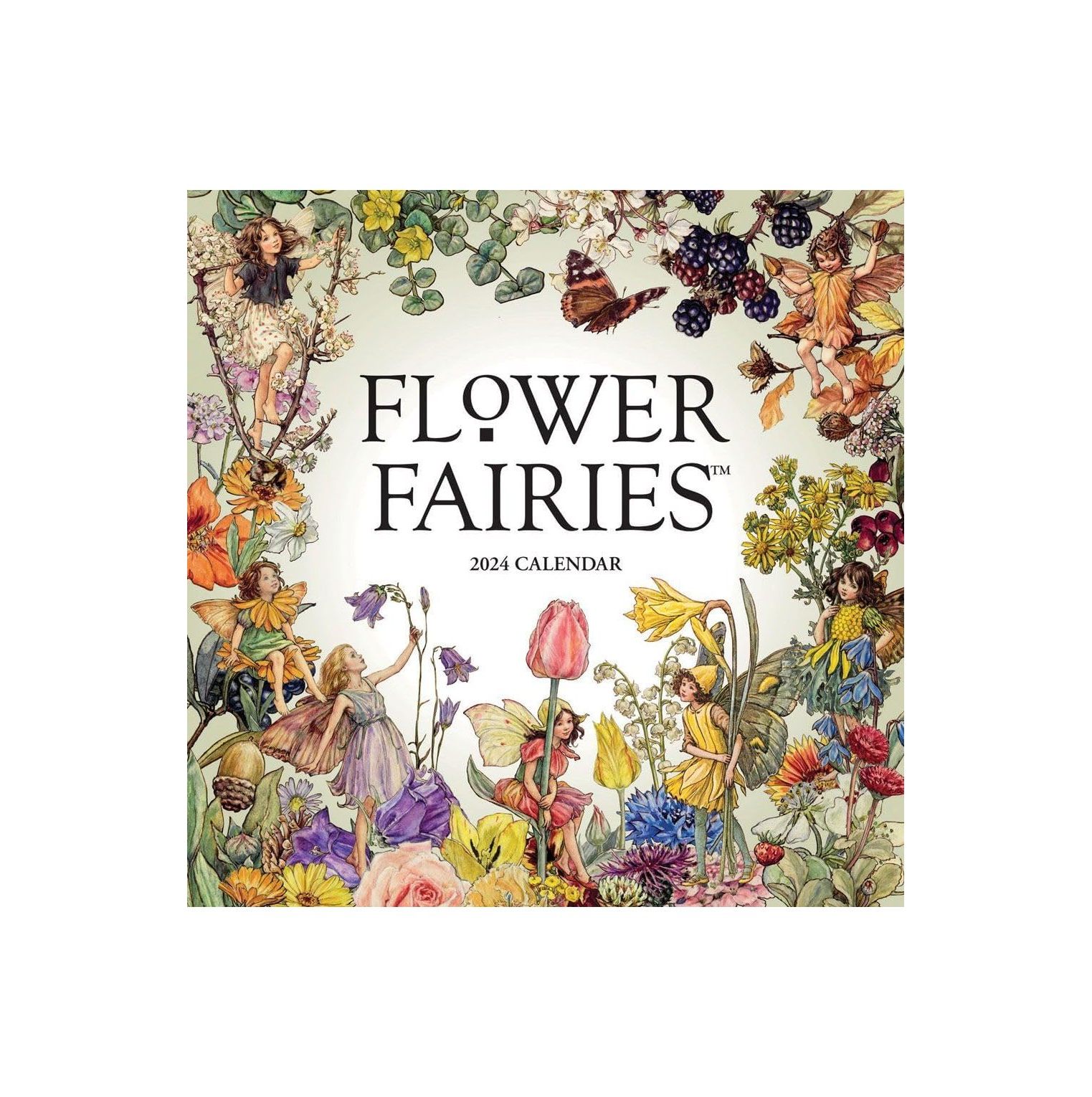 CintBllTer, Flower Fairies 2024 Wall Calendar