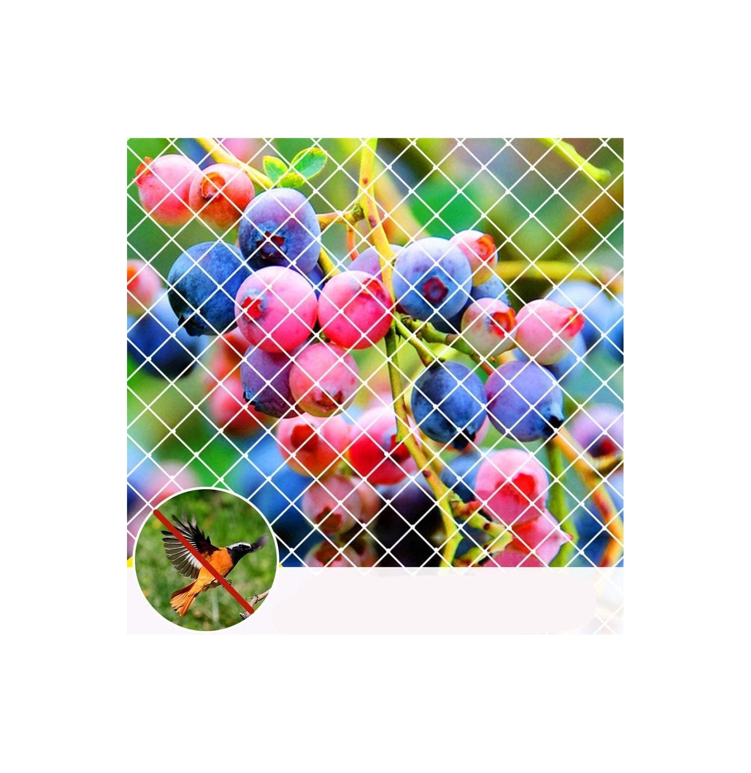 CintBllTer Garden Netting 7x20ft Anti Protection Net Fruit Vegetables