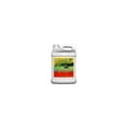 thumbnail image 1 of CintBllTer Liquid Lawn and Pasture Fertilizer, 2.5 Gallons, 7471122, 1 of 2