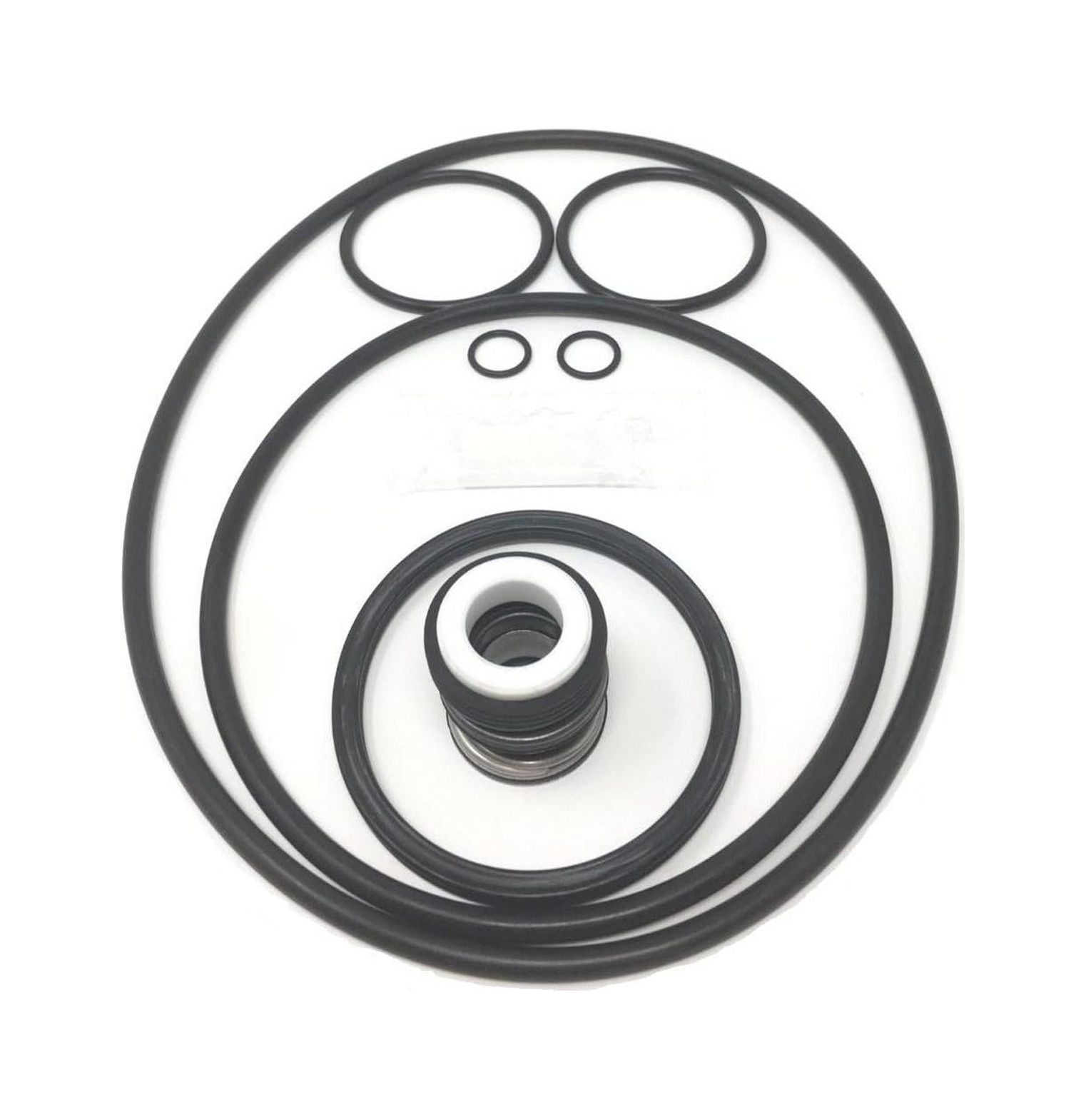 CintBllTer Pool Pump Gasket Seal ORing Rebuild Kit for Pentair
