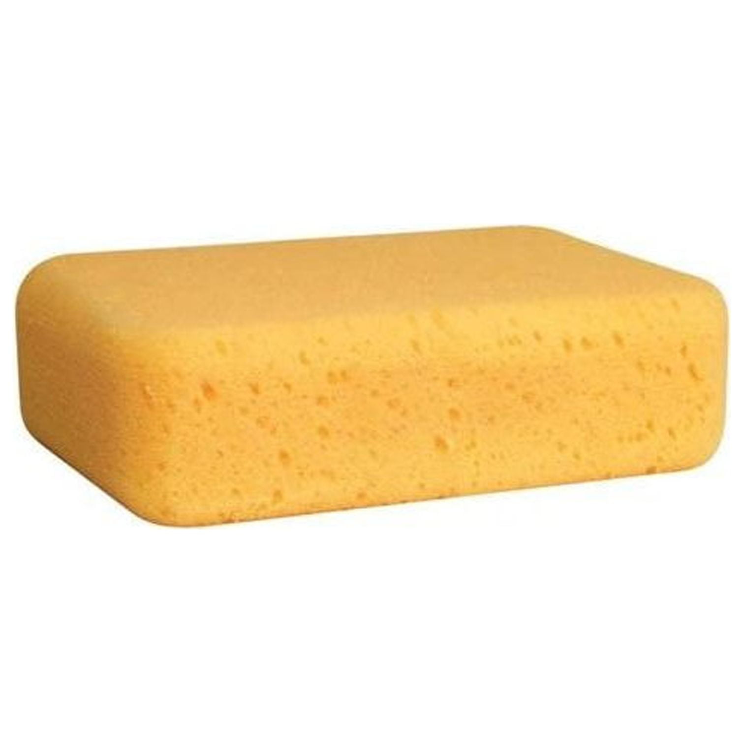 CintBllTer ProPlus Extra Large Grout Sponges 30 Pack