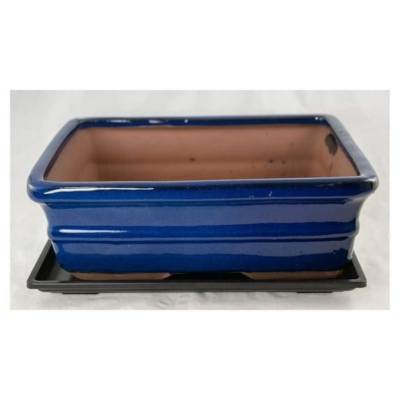 CintBllTer Rectangular Bonsai / Cactus & Succulent Pot 10inchx 8inchx 3.25inch +Tray + Mesh - Dark Blue Glazed