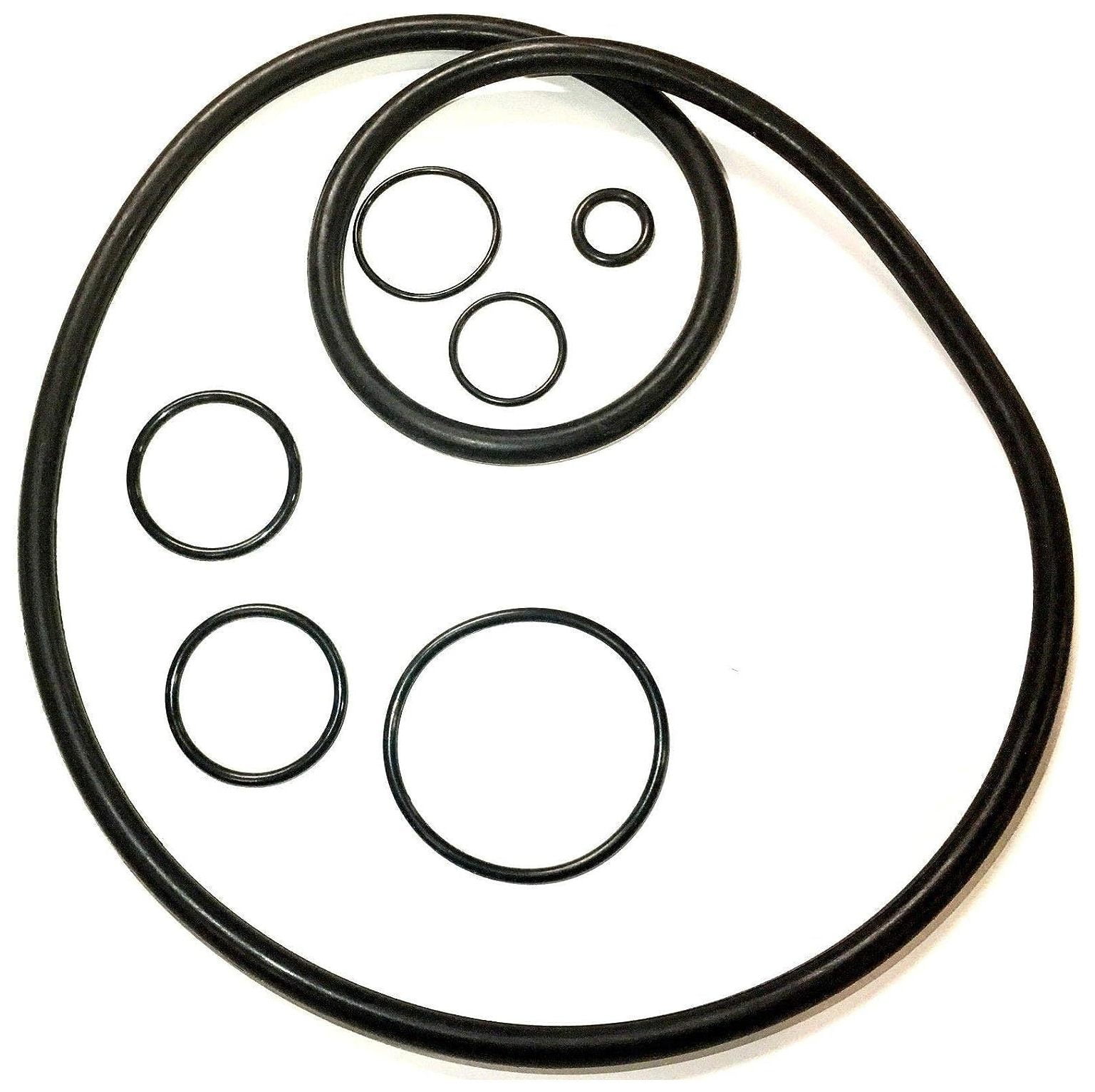 CintBllTer Swimclear Filter Tank ORing Kit Compatible with Hayward