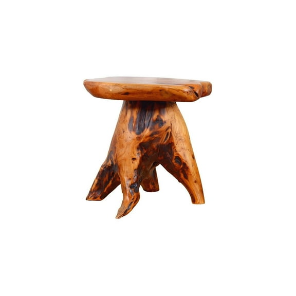 CintBllTer Tree Stump Side Table Natural Edge Cedar Real Wood End Table,Small Wooden Mushroom Stool, Indoor/Outdoor
