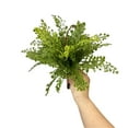 thumbnail image 1 of Cinvoph Artificial Stems Fake Plant Artificial Branches Plants for Centerpiece Table Decorations Wedding Home Greenery Decor Vase Filler, 1 of 4