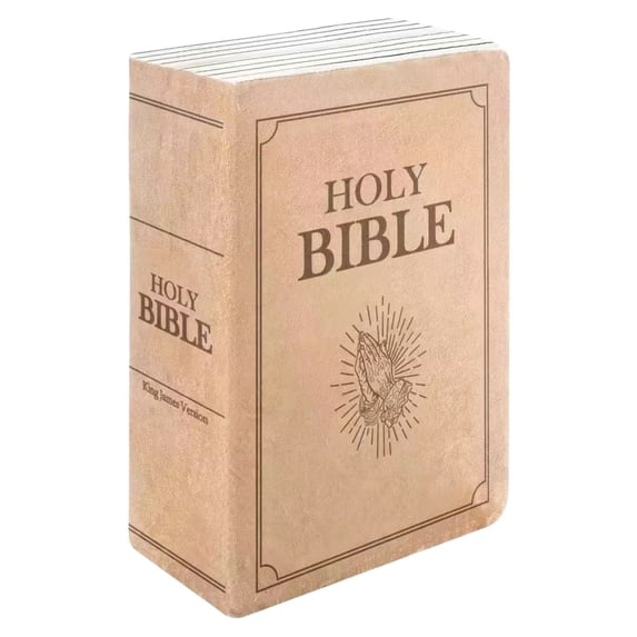 Cinvoph Bible Throw Pillow Holy Scripture Verse Soft Decorative Openable Pillow For Home Church Religious Gift 13"x9"x4" Beige