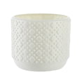 thumbnail image 1 of Cinvoph Cute Flower Pot Small Compact Planter Modern Plant Pots for Small Potted Green Plants Home Office Desktop Decor 3.5"x3" White, 1 of 6