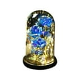 thumbnail image 1 of Cinvoph Lighted Rose Gift Exquisite Light Up Rose Bouque in Glass Dome Night Light for Mom Women Valentines, Mothers Day, Womens Day, Anniversary 9"H, Blue, 1 of 6