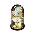thumbnail image 1 of Cinvoph Lighted Rose Gift Exquisite Light Up Rose Bouque in Glass Dome Night Light for Mom Women Valentines, Mothers Day, Womens Day, Anniversary 9"H, White, 1 of 6