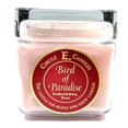 thumbnail image 1 of Circle E Candles, Bird of Paradise Scent, Large Size Jar Candle, 32oz, 2 Wicks, 1 of 9