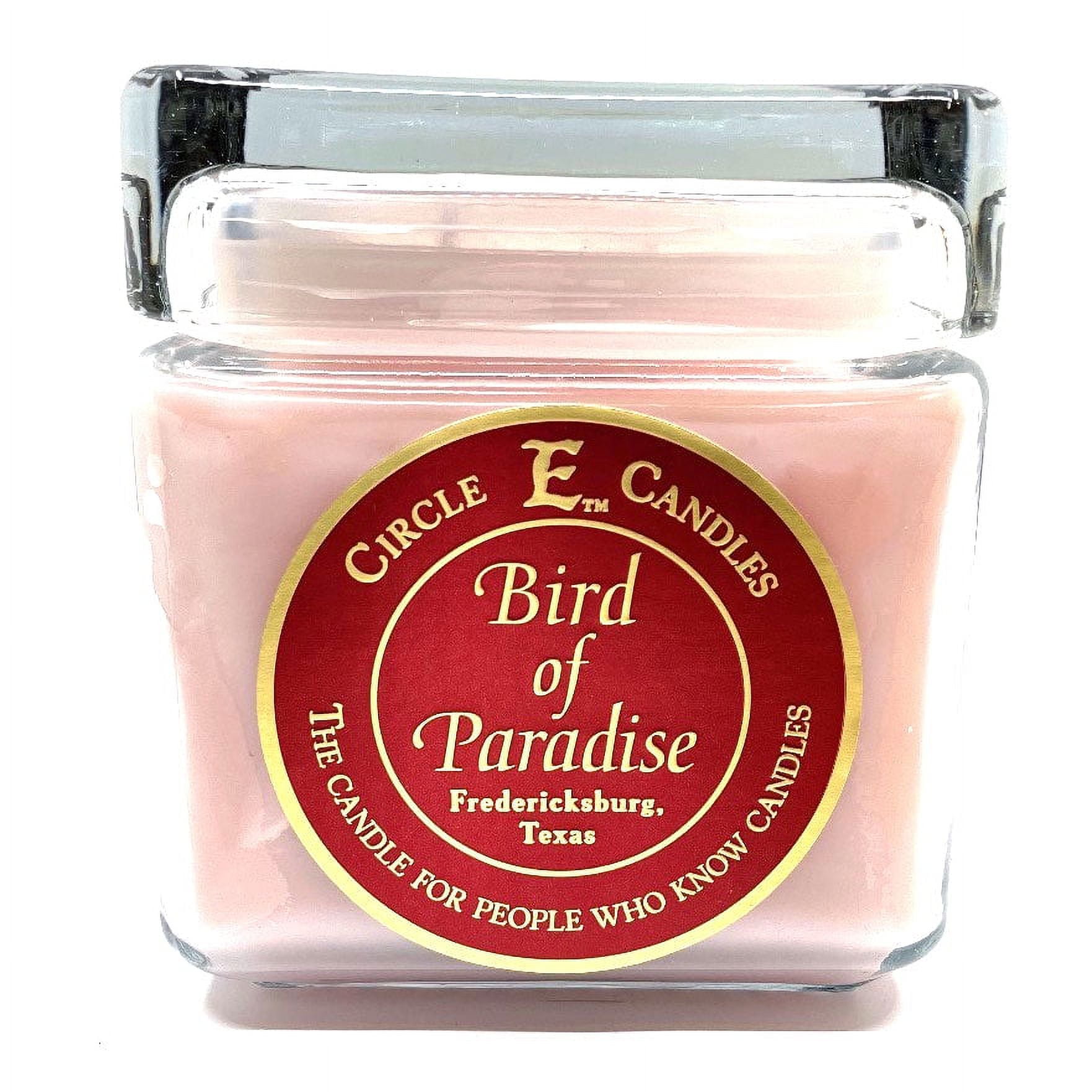 Circle E Candles, Bird of Paradise Scent, Large Size Jar Candle, 32oz