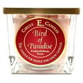 thumbnail image 1 of Circle E Candles, Bird of Paradise Scent, Medium Size Jar Candle, 22oz, 2 Wicks, 1 of 11
