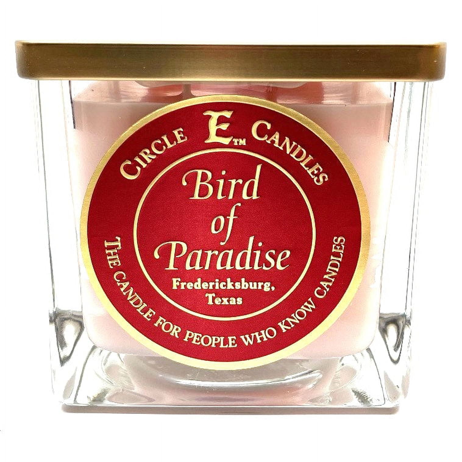 Circle E Candles, Bird of Paradise Scent, 2Wick Jar Candle, 22oz, Lead