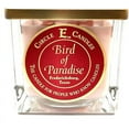 Circle E Candles, Bird of Hawaii Scent, Small Size Jar Candle, 8oz, 1 Wick