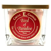 Circle E Candles Bird of Paradise Scented Jar Candle , Size 22oz , 110 Hour Burn Time , 2 Wicks , Wax Color Pearl Pink , Glass Jar , Made in USA