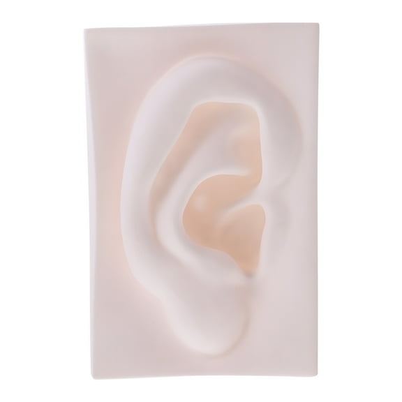 Circle Model Sketch Reference Still Life Portable Decoration Student Office