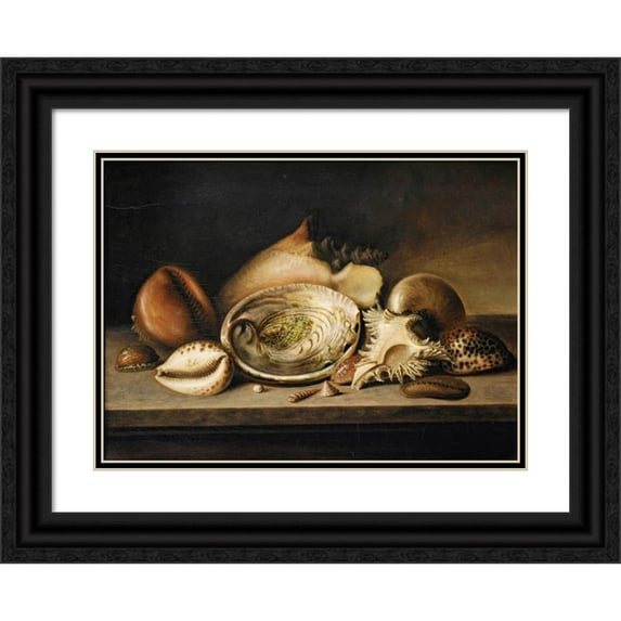 Circle of Nicolaus Matthes 24x18 Black Ornate Framed Double Matted Museum Art Print Titled: Tropical Sea Shells on a Stone Ledge, Including a Conch, a Giant Murex, Cowries and an A
