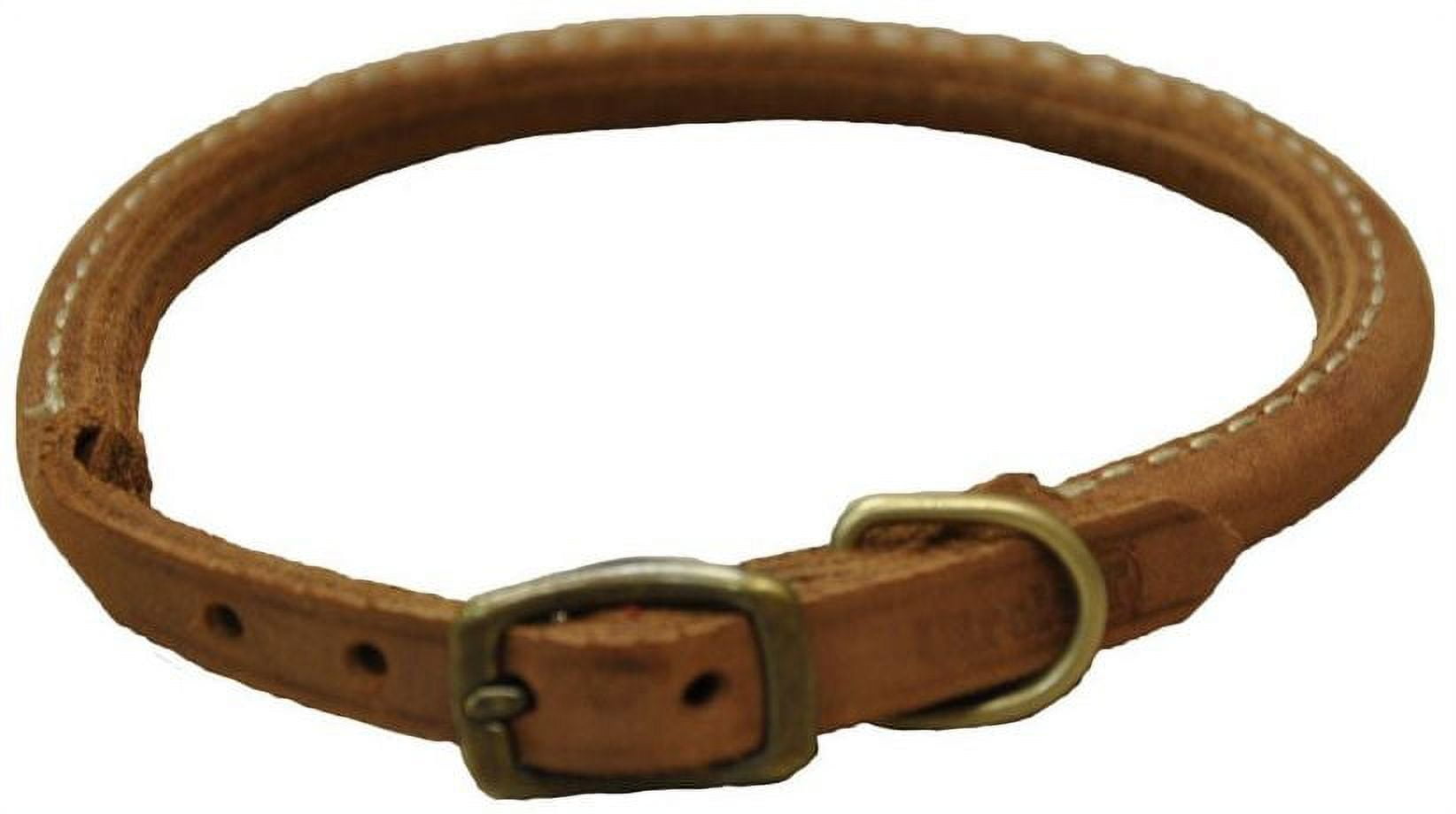 Rustic leather dog collar 2025