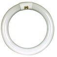thumbnail image 1 of Circle White Fluorescent, 32 Watt, 1 of 3