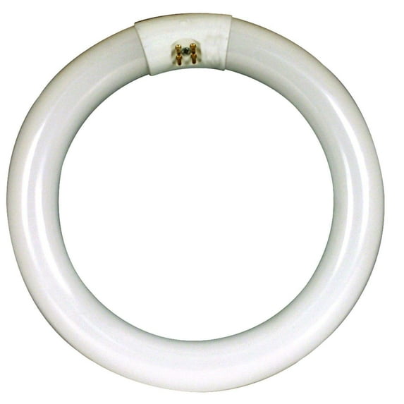 Circle White Fluorescent, 32 Watt