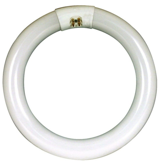 Circle White Fluorescent, 32 Watt