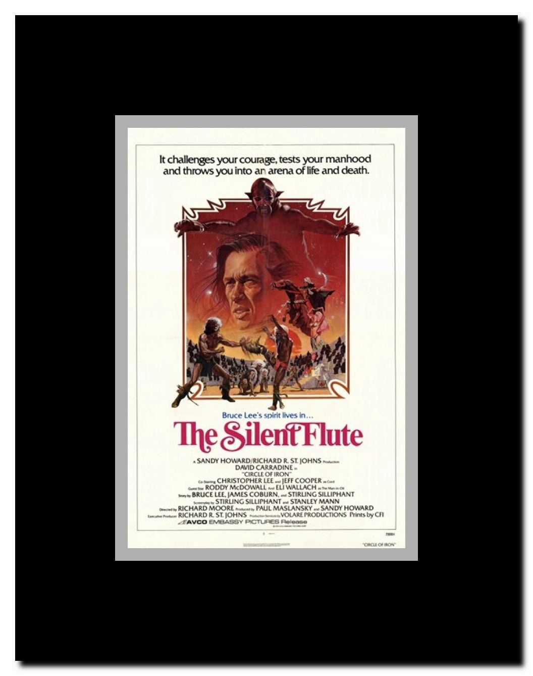 Circle of Iron Framed Movie Poster