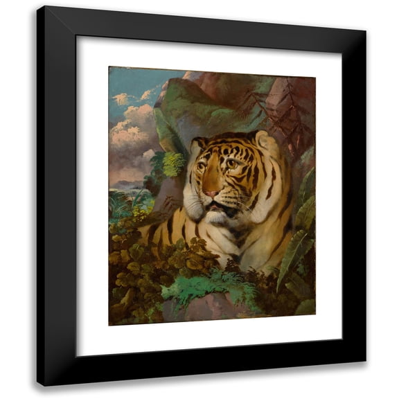 Circle of William Huggins 15x18 Black Modern Framed Museum Art Print Titled - Portrait of a Tiger