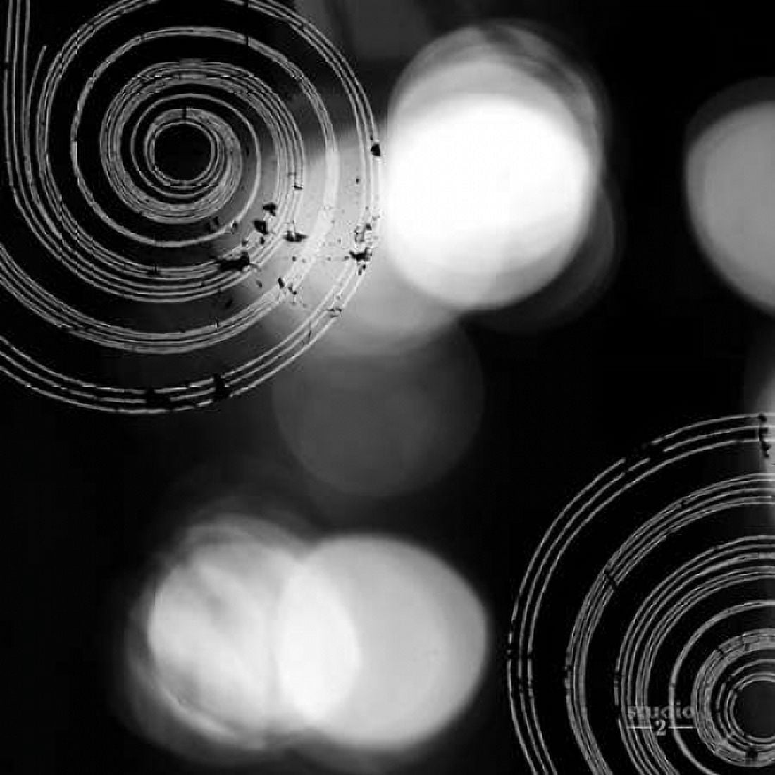 Circles and Swirls I Canvas Art - Studio 2 (24 x 24)