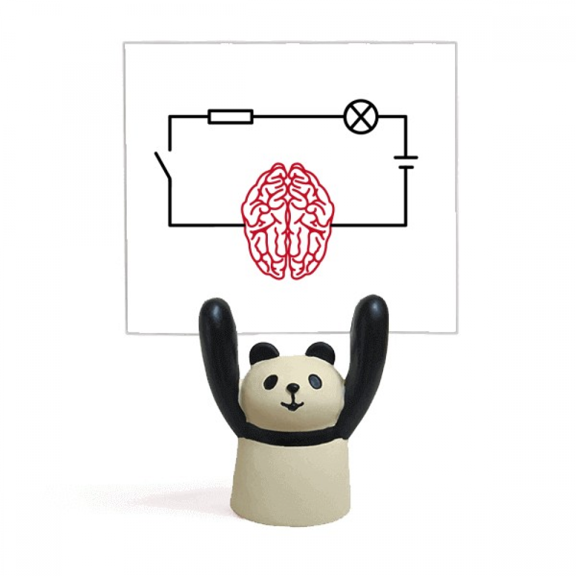 Circuit Brain Power Physics Memo Holder Cartoon Animal Panda Stand Decoration