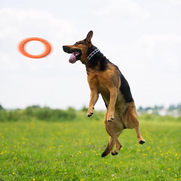 CircuitCraze Dog Throwing Toy, Soft Ring Flyer for Small and Medium Dogs, Outdoor Training Play