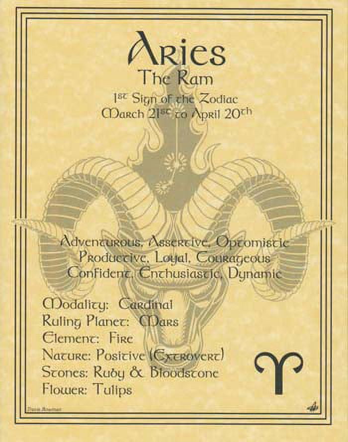 CircuitOffice Aries Zodiac Poster Explores The Qualities of The