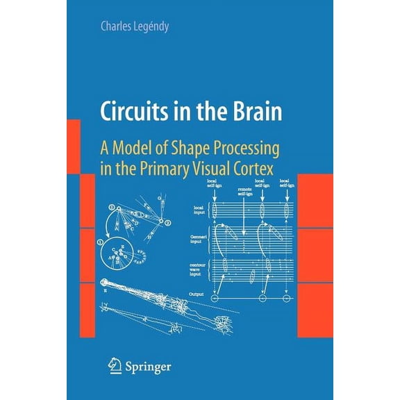 Circuits in the Brain: A Model of Shape Processing in the Primary Visual Cortex, (Paperback)