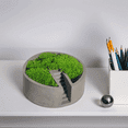 thumbnail image 1 of Circular Cement Moss Decor Handcrafted Desktop Oasis, 1 of 1